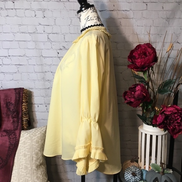 Ellen Tracy pleated ruffle blouse - Picture 6 of 8